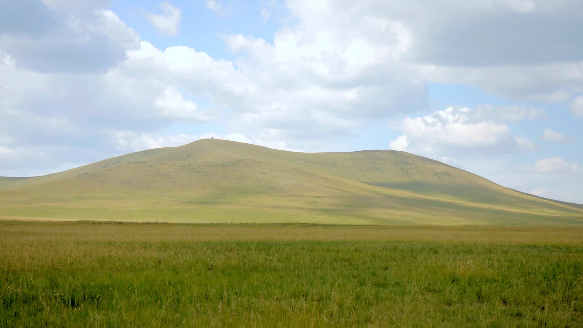 Rolling summer grassland in Hulunbuir