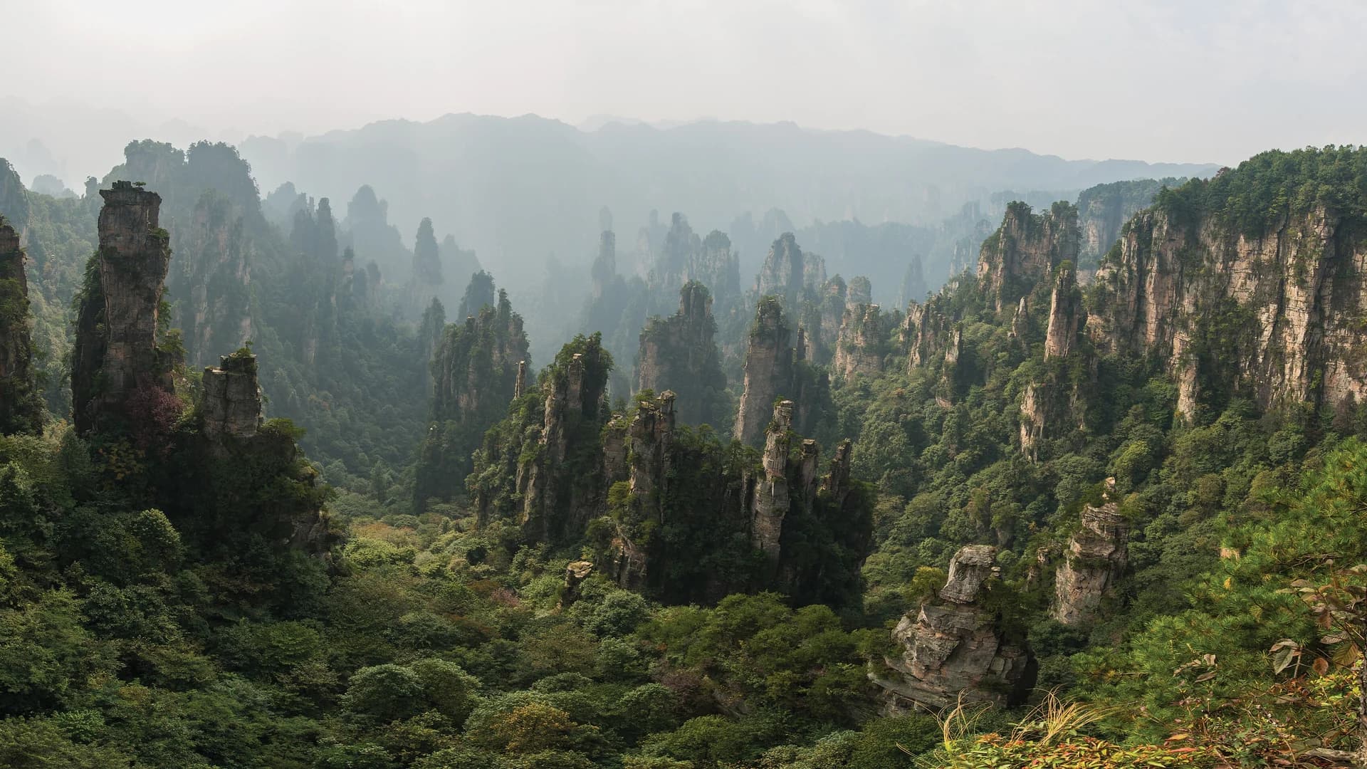 Sandstone pillars in Zhangjiajie's Wulingyuan landscape