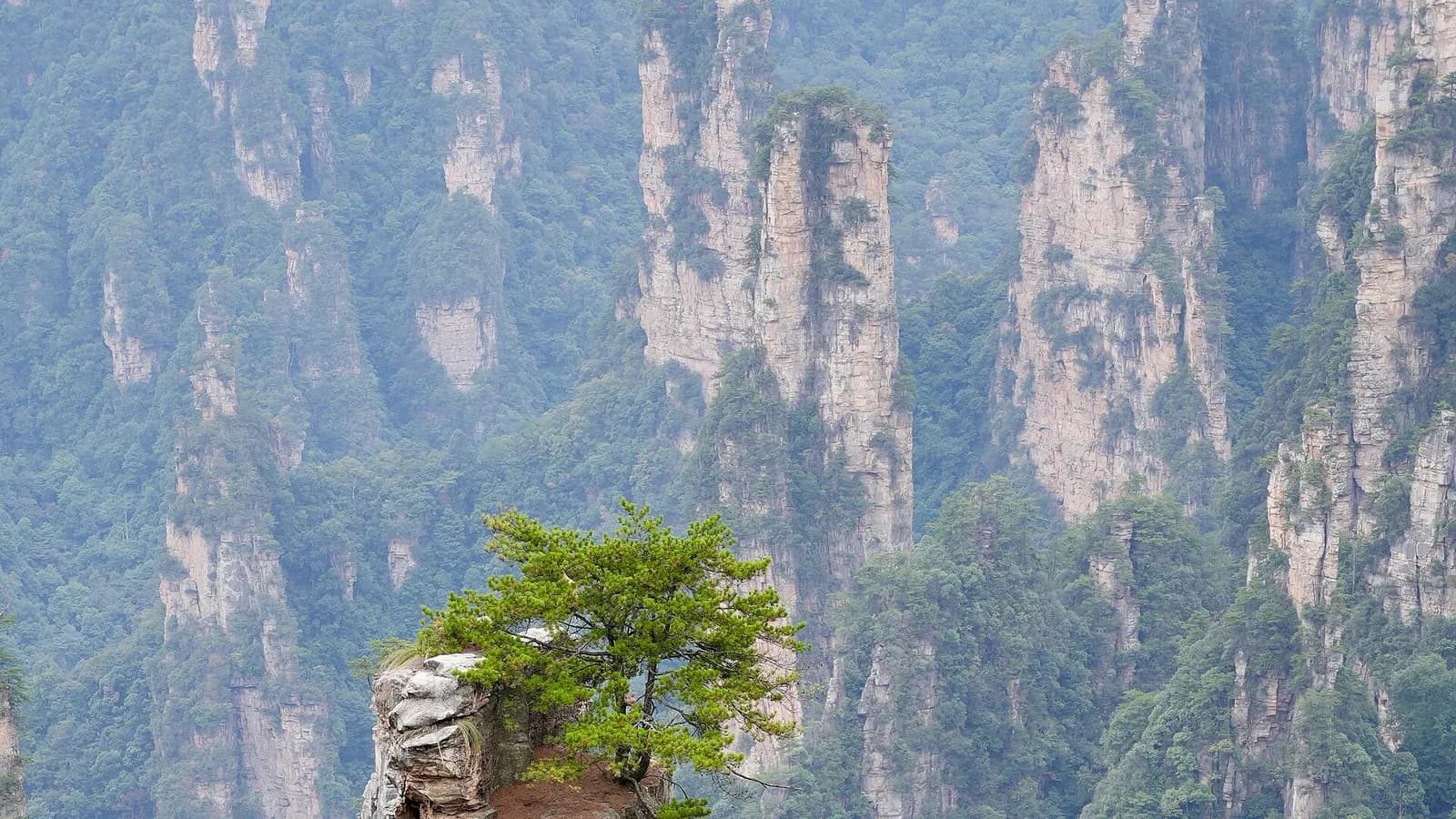 Sandstone pillars rising through mist in Zhangjiajie National Forest Park